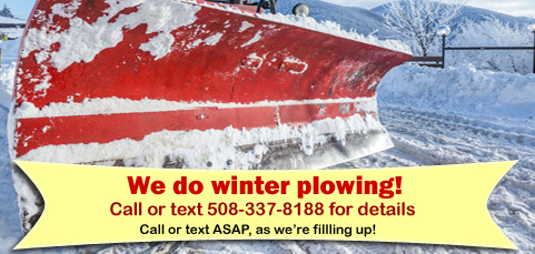 Landscape & Tree Services in Massachusetts